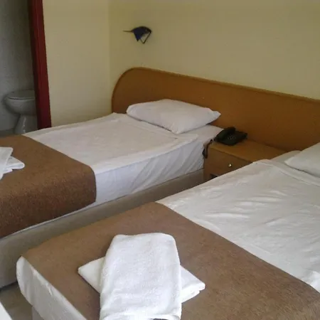 Papillon Hotell *