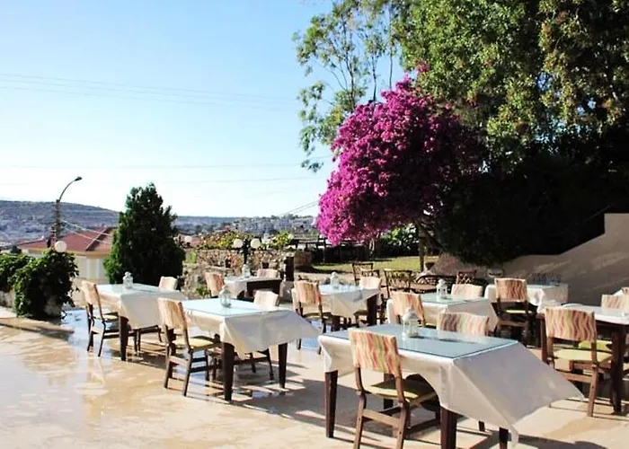 Papillon * Çeşme